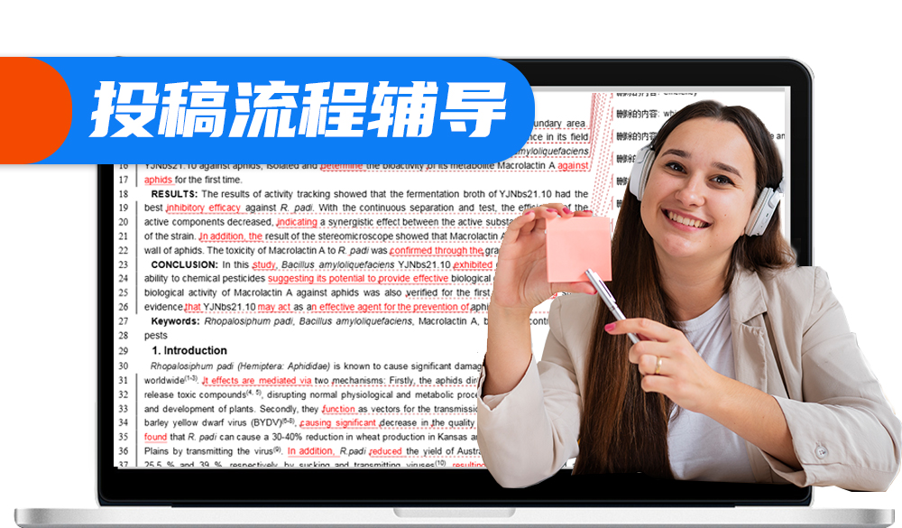 审稿意见返修辅导